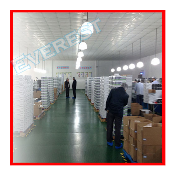 Plastic/Polyethylene/Poly/CPE/HDPE/LDPE/Exam/ TPE Elastic Disposable PE Gloves