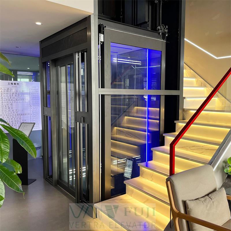 Machine Room-Less Electric Traction Passenger Residential Elevator Luxury Villa House Lift Price