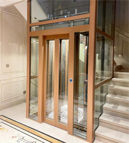 Xyzlift Home Elevator Traction Type Home Lift 250kg Loading Capacity for Villa
