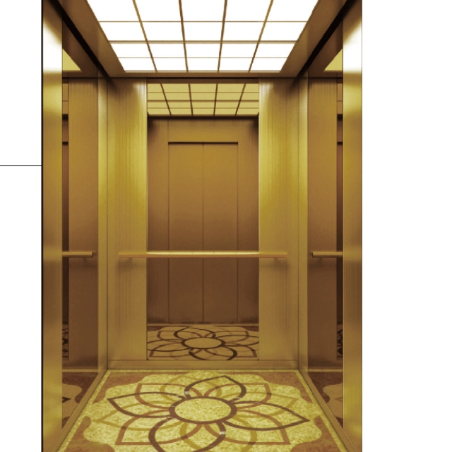 Small Machine Room Passenger Elevator Home Elevator Commercial Elevator with Good Decoration