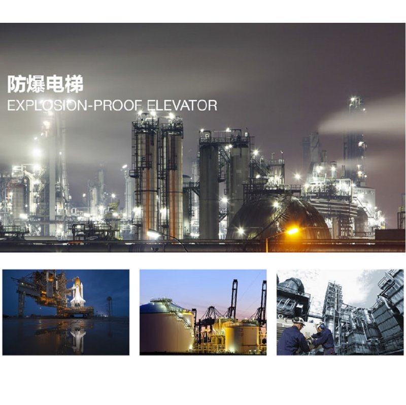 CE Approve Eac Atex T4 T3 Approve Explosion-Proof Elevator