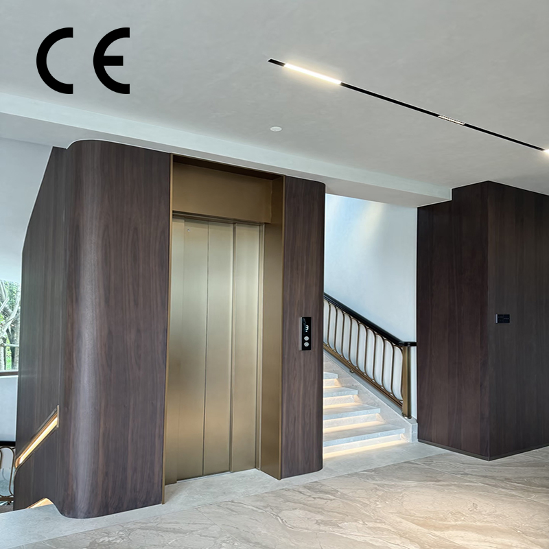 Luxury Home Traction Villa Indoor Lift