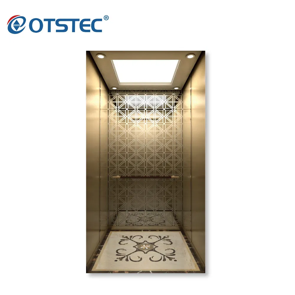 Most Popular Passenger Lift Traction Machine for Home Villas Residential