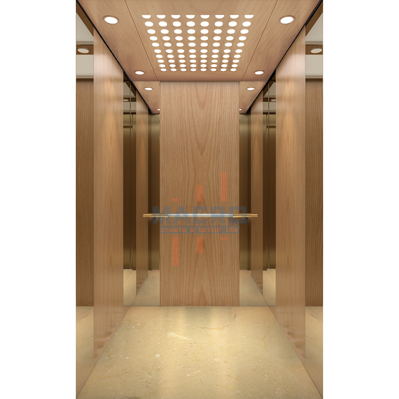 CE EAC Manufacturer Machine Room Machine Roomless Customized Residential Passenger Elevator Funicular Cargo Lift