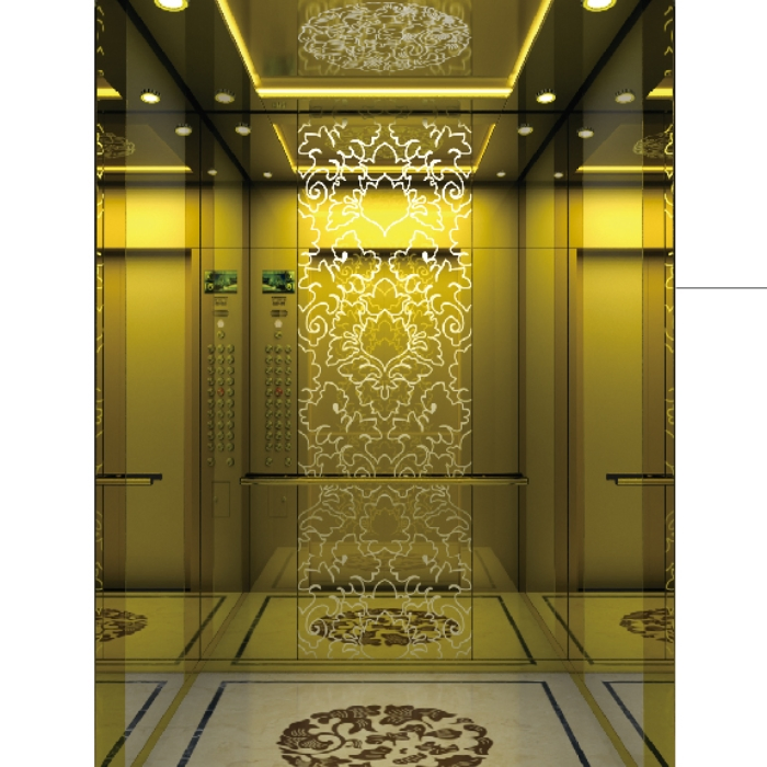Small Machine Room Passenger Elevator Home Elevator Commercial Elevator with Good Decoration