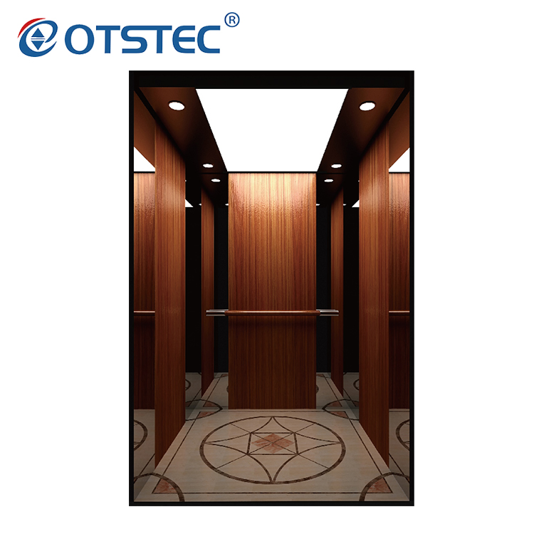 Otstec Residential Passenger Elevator for Machine Roomless Cheap Price