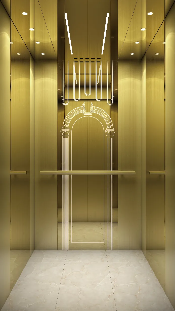 Traction Type Villa Lift