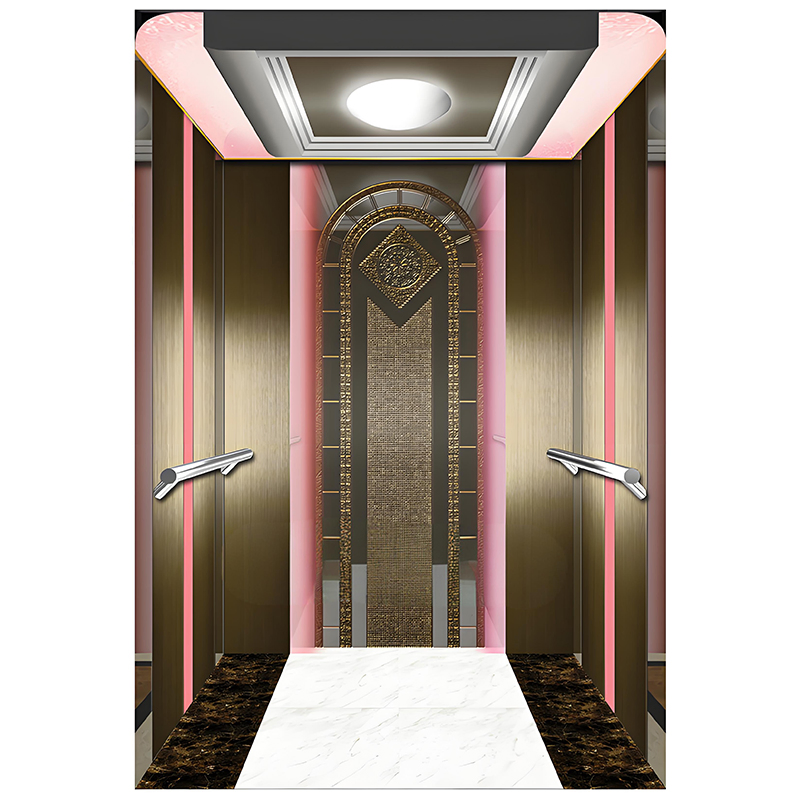 1000kg Machine Roomless Passenger Lift Elevator with Luxury Cabin for Residential and Commercial