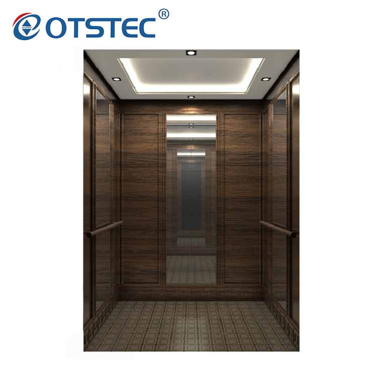 Hot Selling Machine Roomless Building Home Lift Price Passenger Elevator with CE