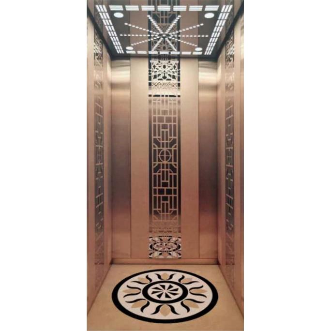 Auto Elevator Traction Office Machine Roomless Commercial Passenger Home Elevator