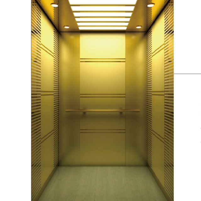 Small Machine Room Passenger Elevator Home Elevator Commercial Elevator with Good Decoration