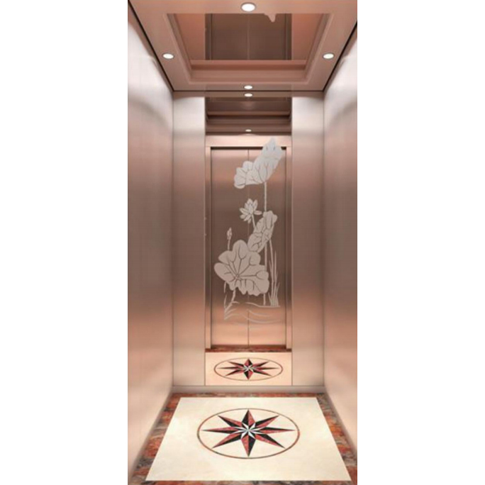 Auto Elevator Traction Office Machine Roomless Commercial Passenger Home Elevator