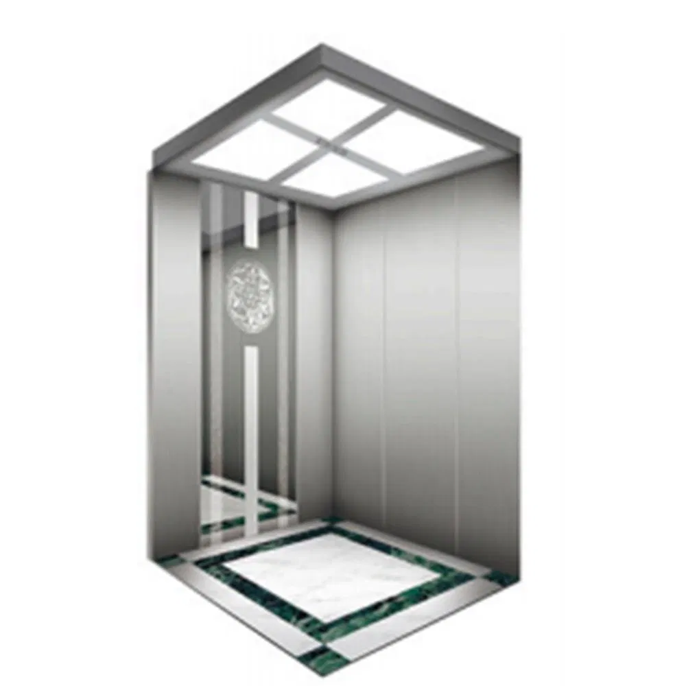 Made in China Elevator with a Machine Room, a Large Shaft and a Small Pit