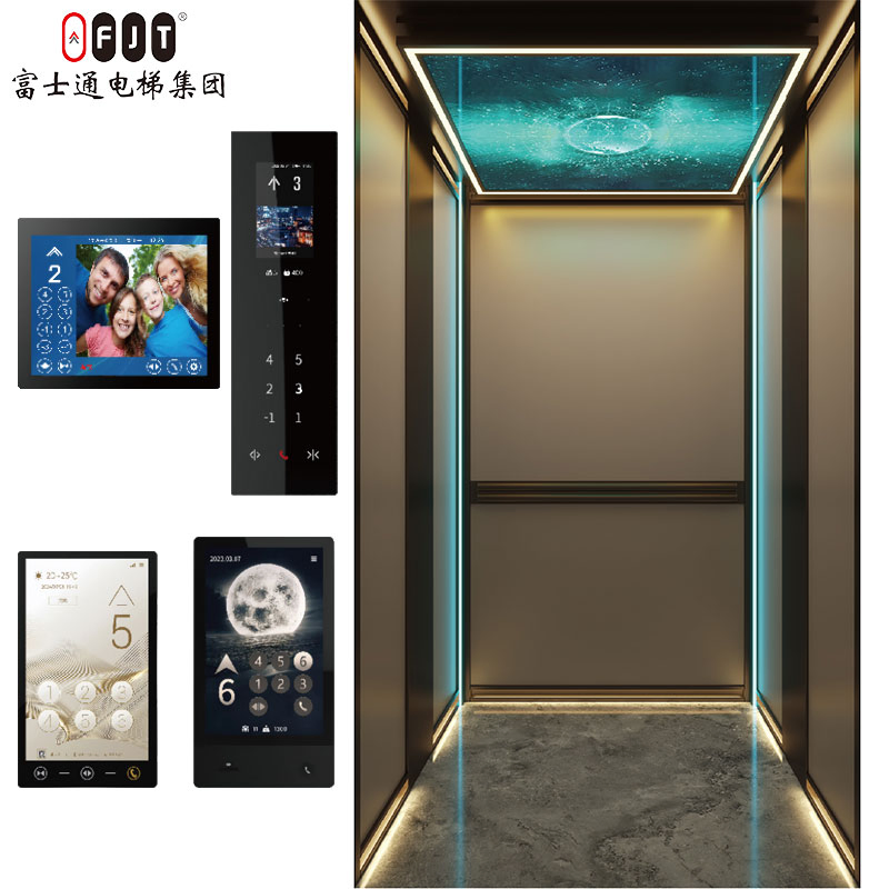 Fujithrough International Certified Home Elevator with Small Shaftless Machine Room Features Home Use