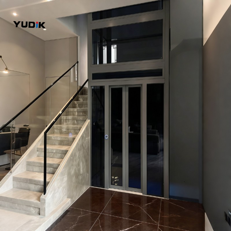 Traction Home Lift with Frosted Glass for Private Villa Use