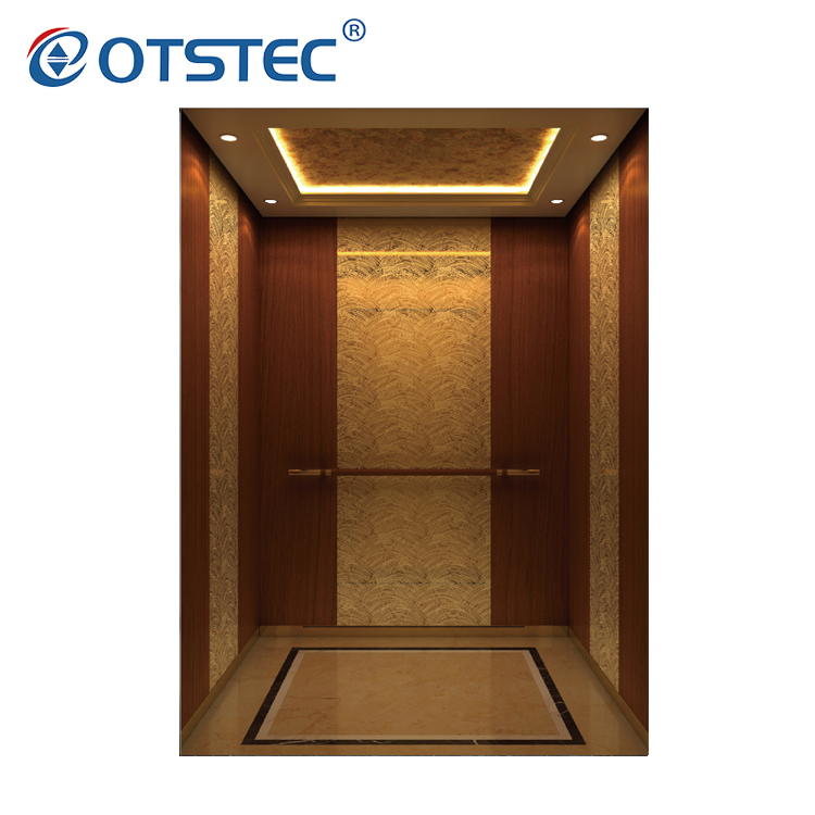 Hot Selling Machine Roomless Building Home Lift Price Passenger Elevator with CE