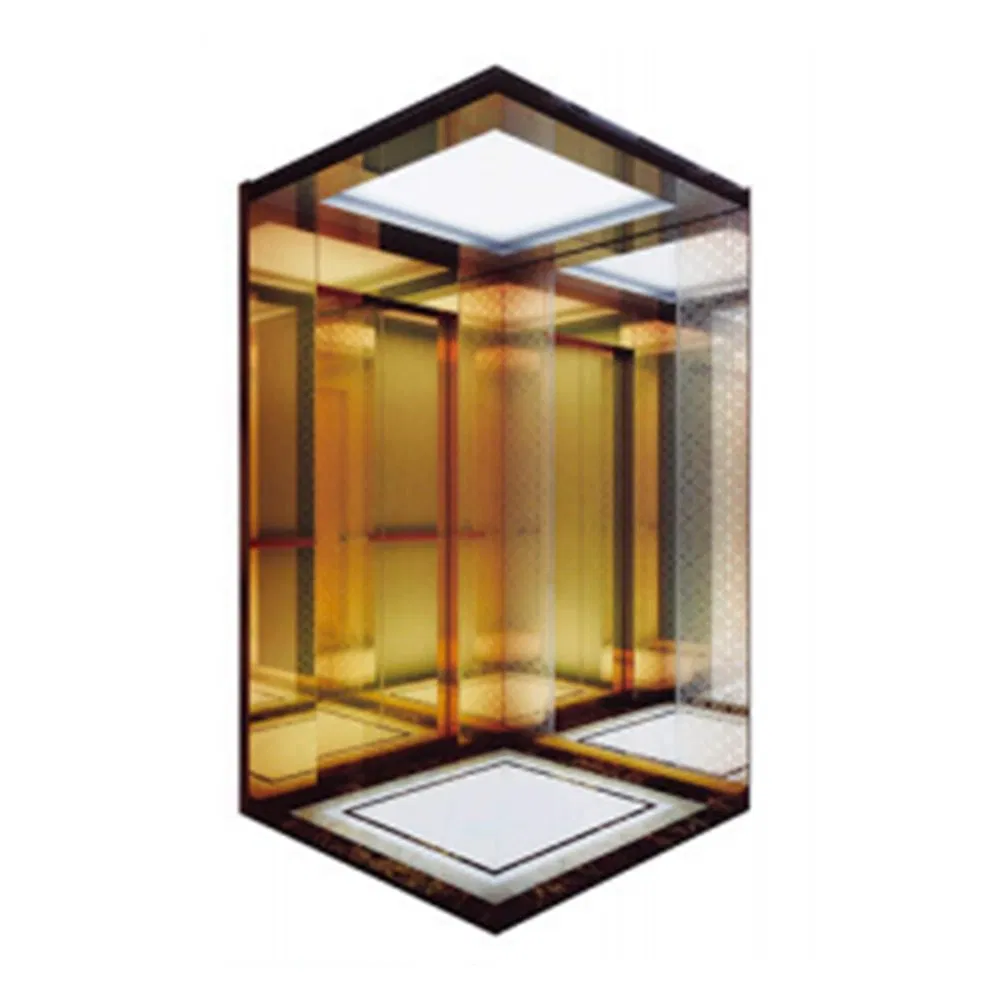 Made in China Elevator with a Machine Room, a Large Shaft and a Small Pit