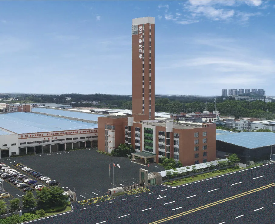 Hospital Elevator Patient Lift