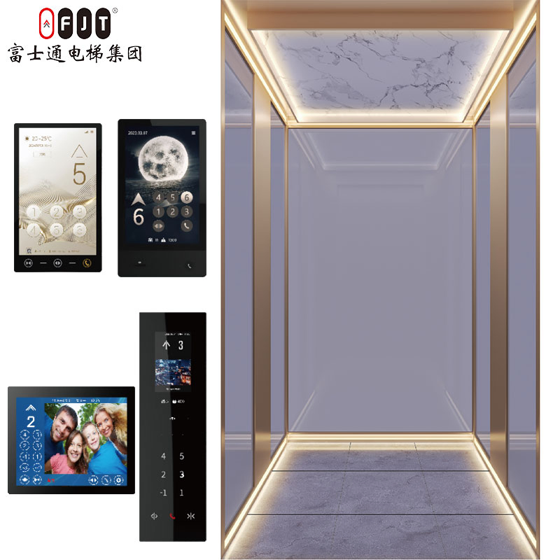 Smooth-Running Traction Type Villa Lift for Family House Usage