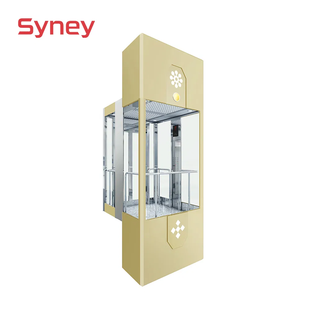China Hot Sell Small Machine Room Panaramic Glass Lift Elevator