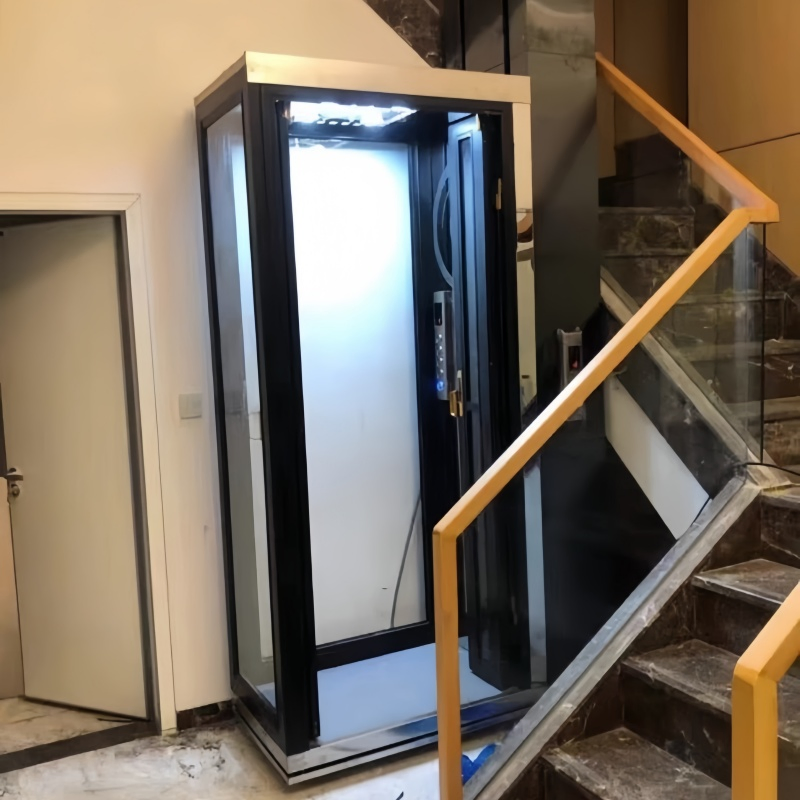 200kg 250kg Small Domestic House Passenger Lifts Elevator for One Person No Machine Room