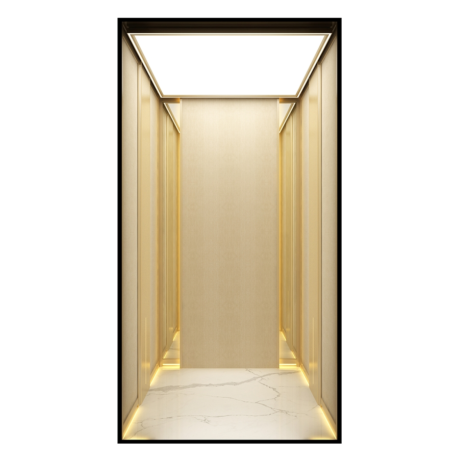 Residential Machine-Room-Less Traction Small House Home Villa Elevator