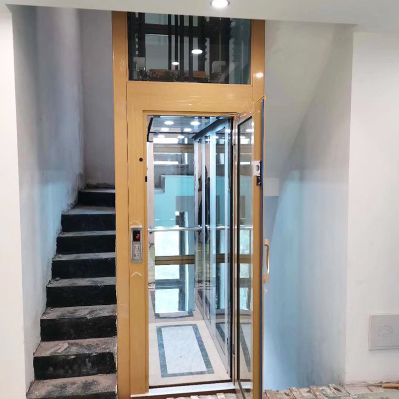 Stylish Home Elevator Dumbwaiter for Restaurants and Residences