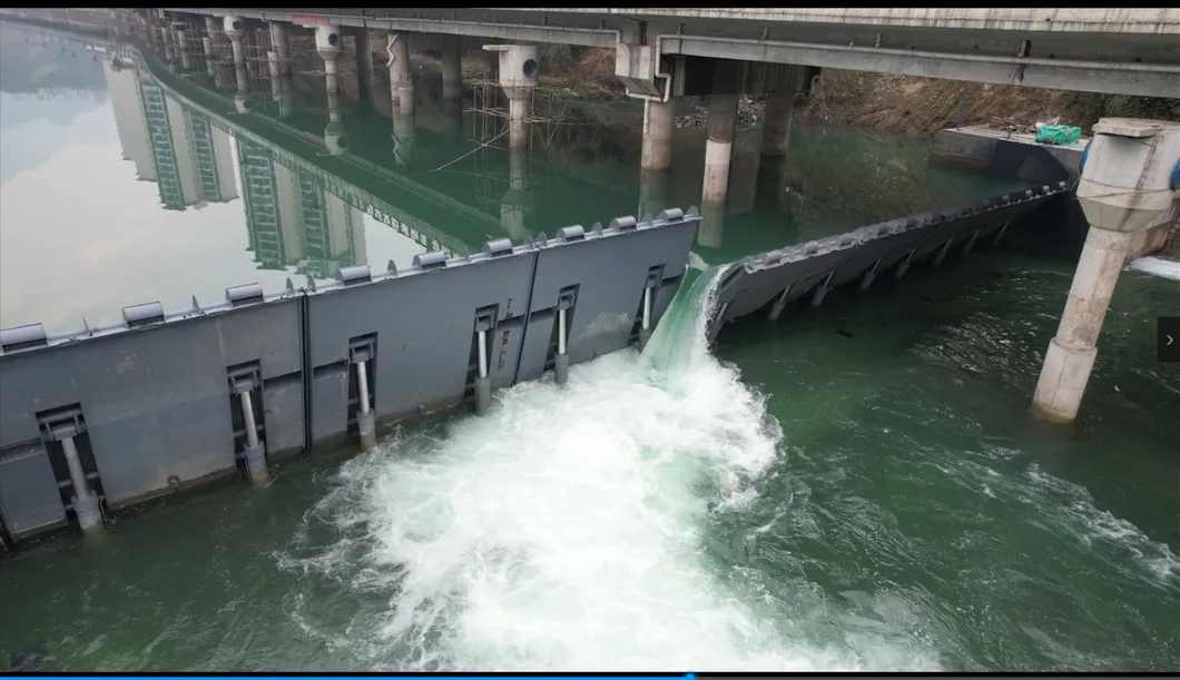 Hydraulic Elevator Dam Project 7