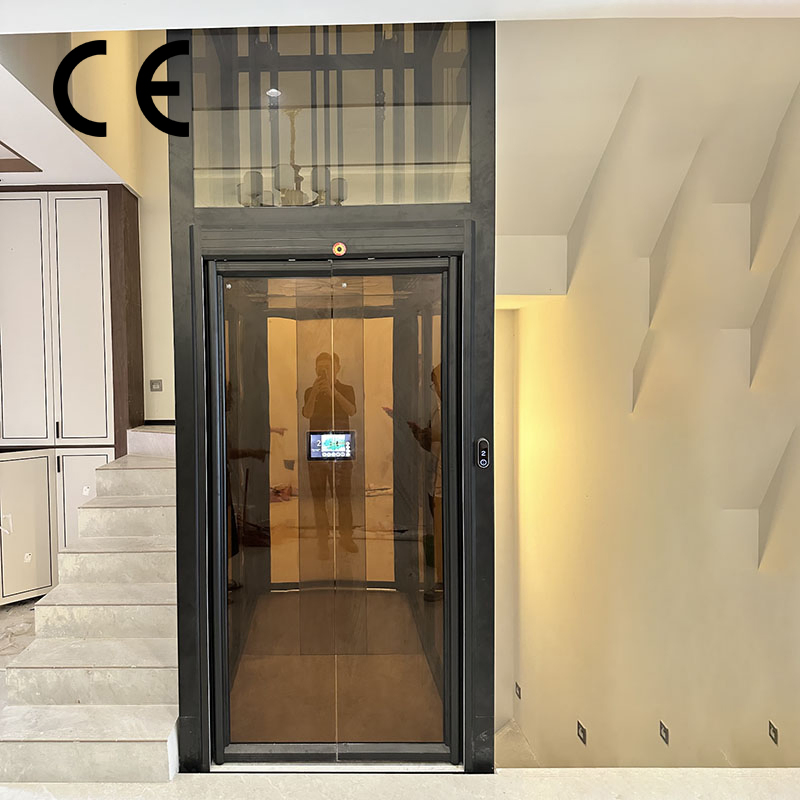 Traction Villa Home Indoor Lift