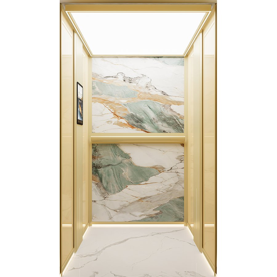 Residential Machine-Room-Less Traction Small House Home Villa Elevator