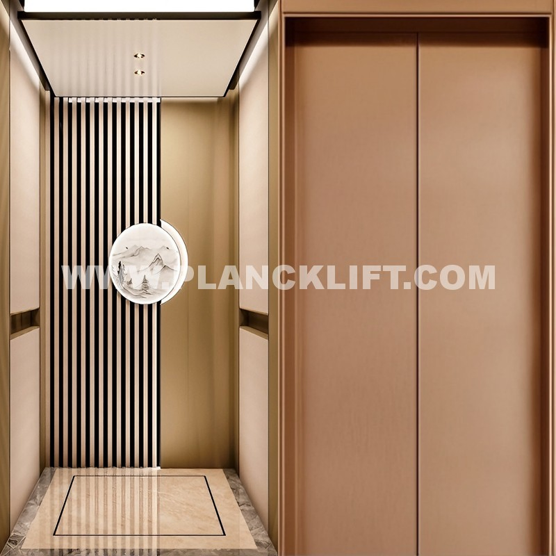 Traction Drive Home Lift: Energy-Saving Mrl Design, 400kg Capacity, 0.4m/S, for 2-4 Story Villa