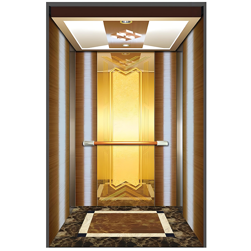 1000kg Machine Roomless Passenger Lift Elevator with Luxury Cabin for Residential and Commercial