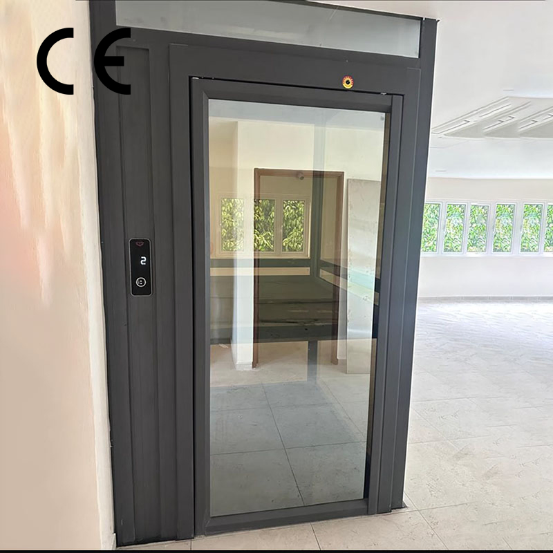 Luxury Home Traction Villa Indoor Lift