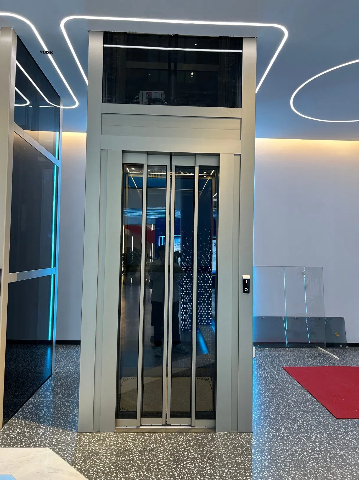 Compact Traction Home Lift for Narrow Villa Space Installation