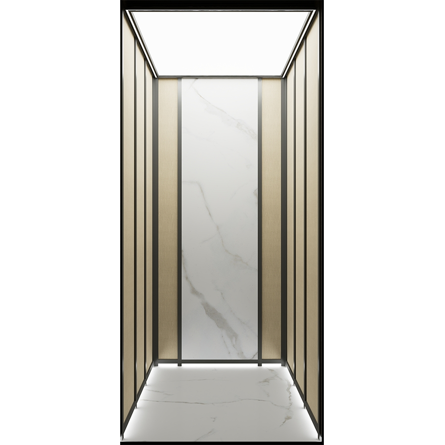 Residential Machine-Room-Less Traction Small House Home Villa Elevator