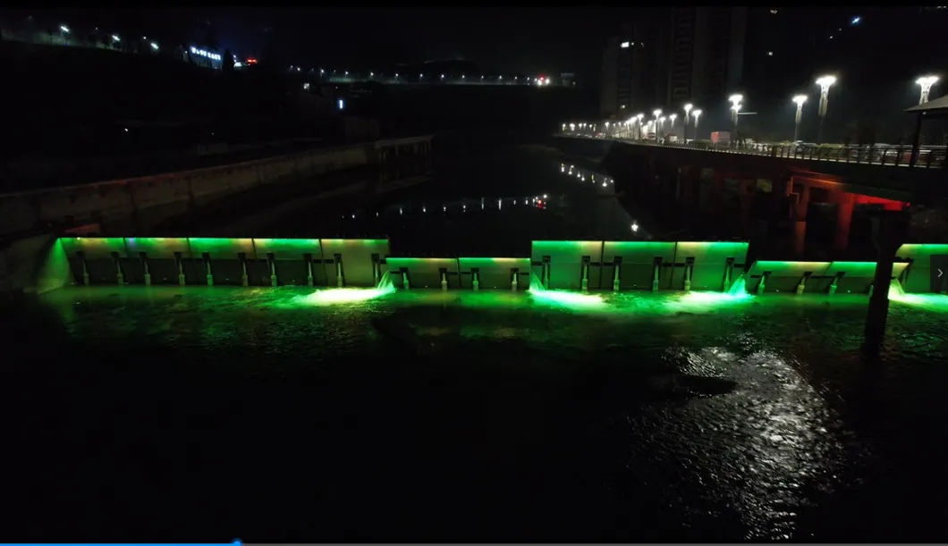 Hydraulic Elevator Dam Project 2