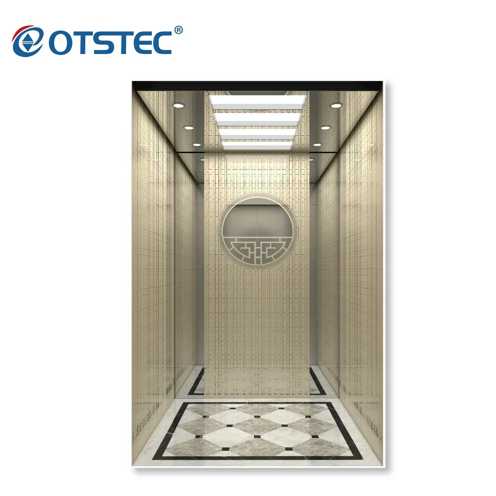 Most Popular Passenger Lift Traction Machine for Home Villas Residential