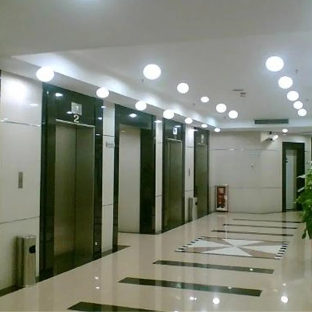 Shock-Resistant Energy Saving Hqa-255 Popular Design Passenger Elevator for Hospitals
