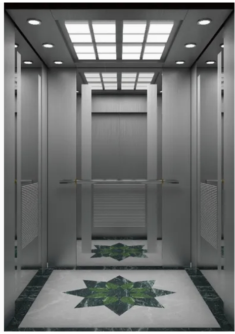 Small Machine Room Passenger Elevator Lift Price Lifts Elevator Use in Home
