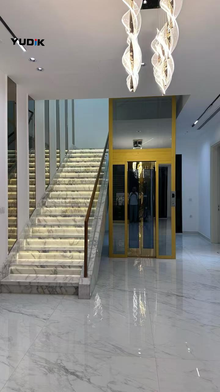 Compact Traction Home Lift for Narrow Villa Space Installation