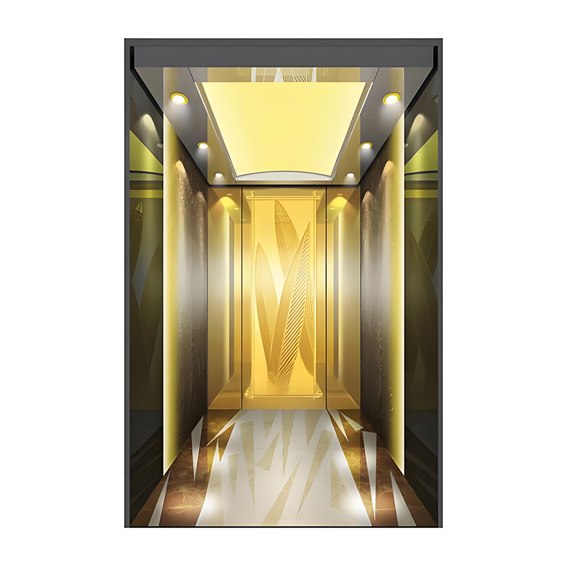Hot Selling Machine Roomless 380V AC Commercial Elevator for Passenger and Residential