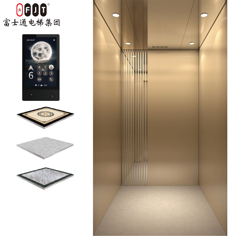 Fujithrough Energy-Saving Traction Type Lightweight Vvvf Villa Lift for Luxury Villa