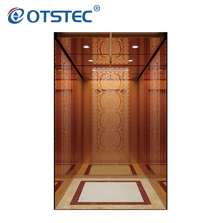 Otstec Residential Passenger Elevator for Machine Roomless Cheap Price