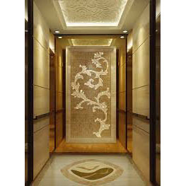 Vvvf Function Champagne Gold Mirror Passenger Elevator with Small Machine Room