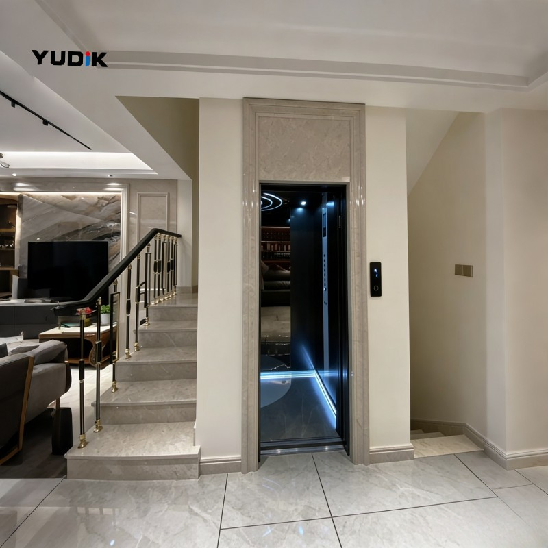 Traction Home Lift with Frosted Glass for Private Villa Use