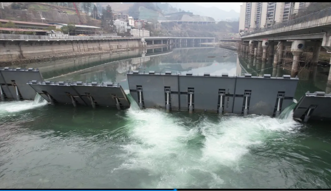 Hydraulic Elevator Dam Project 3