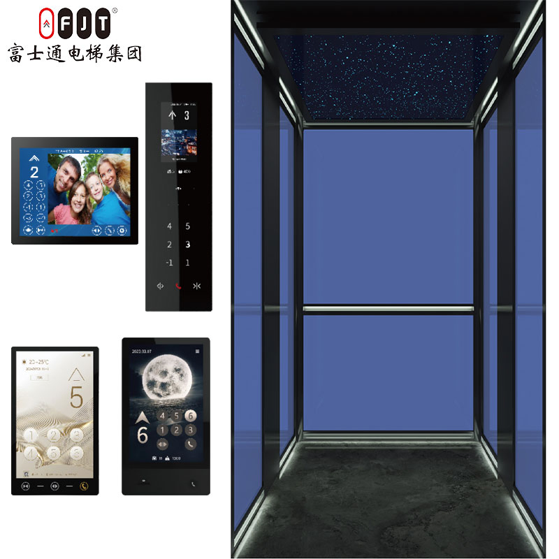Fujithrough International Certified Home Elevator with Small Shaftless Machine Room Features Home Use