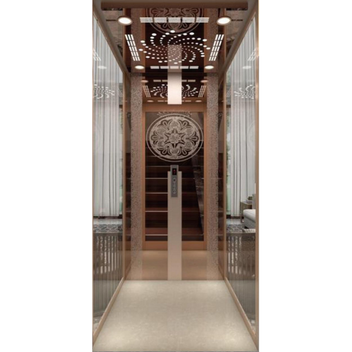 6 Person Small Size Machine Roomless Home Lift Villa Passenger Elevator
