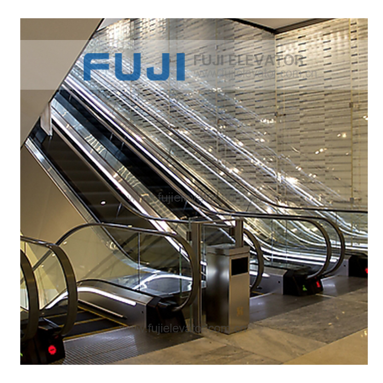 FUJI Competitive Price Moving Sidewalk Moving Walkway