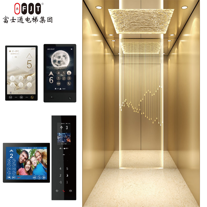 Smooth-Running Traction Type Villa Lift for Family House Usage